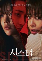 姐妹206